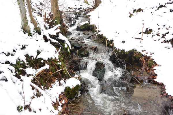 Paysages enneigés entre Chanat la Mouteyre, Sayat et Blanzat