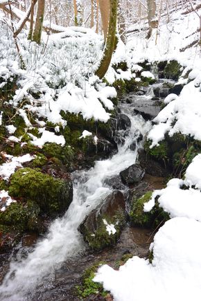 ruisseau des valettes hiver