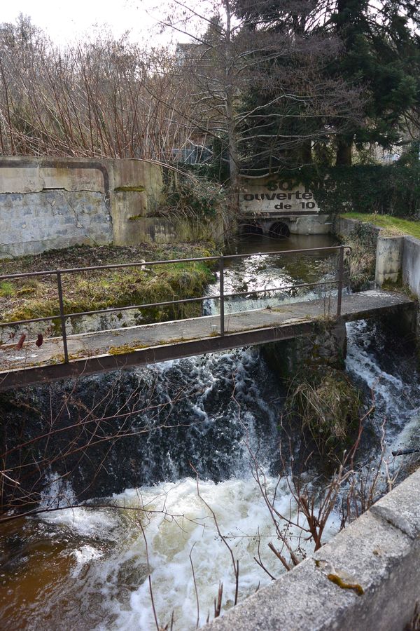 Jonction Sardon ruisseau de Romeuf vallée de Sans Souci