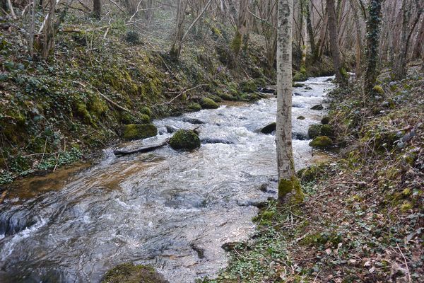 ruisseau de Romeuf Châtel-Guyon (1)