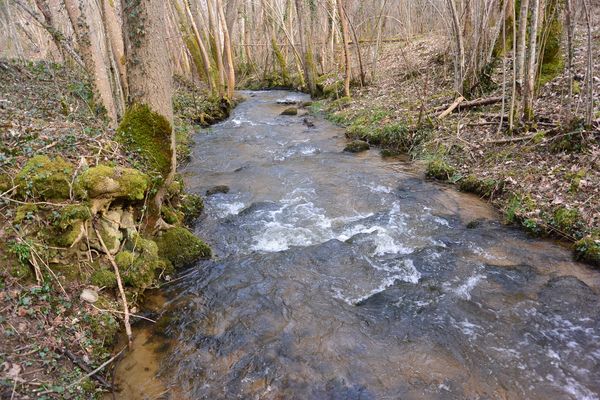 ruisseau de Romeuf Châtel-Guyon (3)