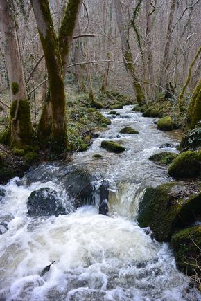 ruisseau de Romeuf Châtel-Guyon Vallée de Sans Souci