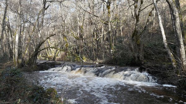 Le Tyx petite rivière des Combrailles