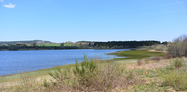 L'étang Grand de Pulvérières