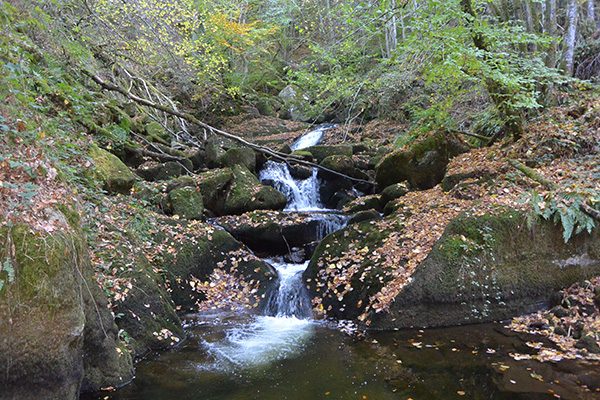 La cascade du Creux saillant