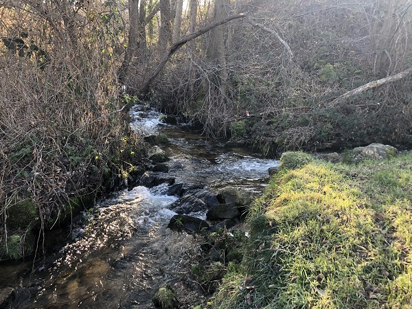 Confluence et naissance du ruisseau de Saint-Marcellin à Monistrol