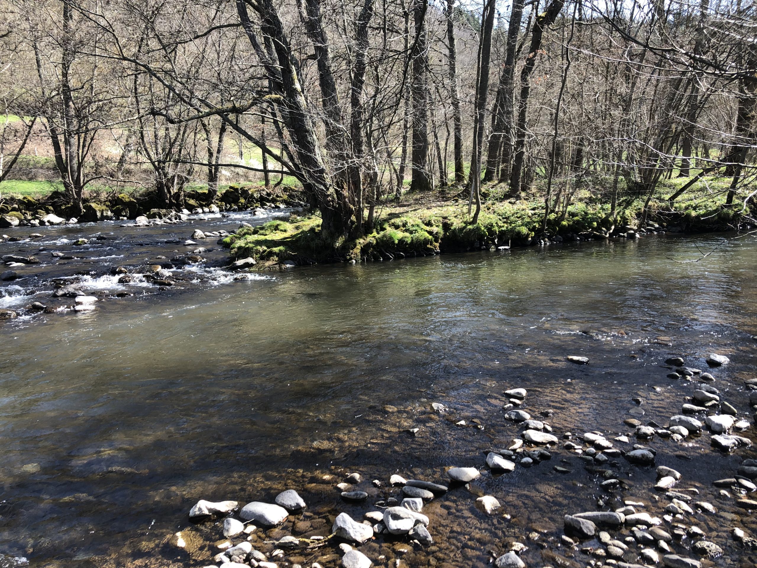 La confluence entre l'Allanche et l'Alagnon