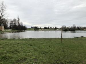 IMG_8741