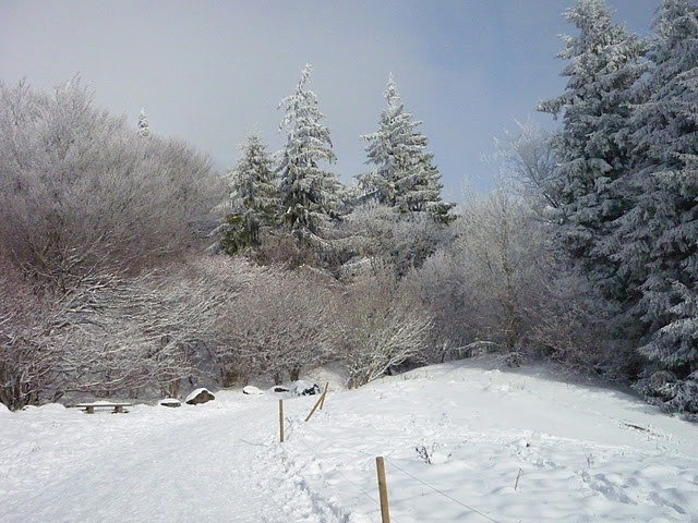 Sortie neige sur les pentes du Puy de Dôme